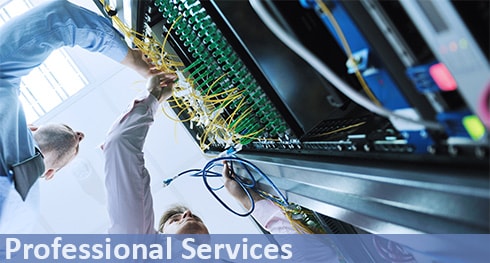 Professional Services